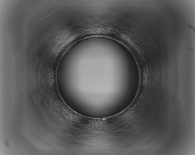 X0000100961213200806241519