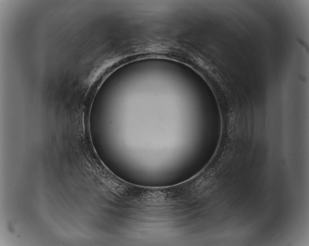 X0000100961214200806241519