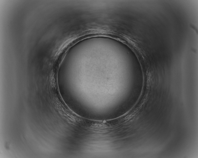 X0000100961215200806241519