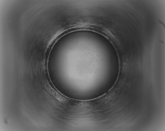 X0000100961216200806241519
