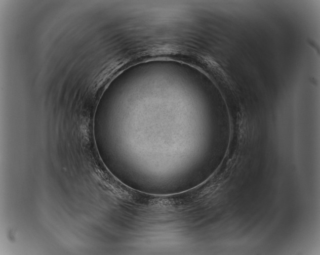 X0000100961217200806241519