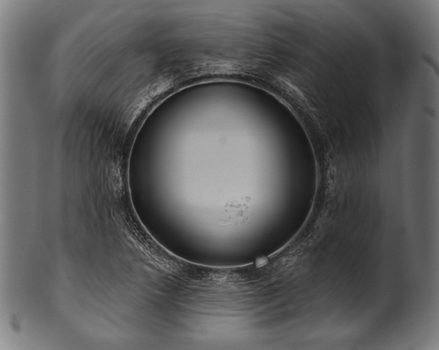 X0000100961218200806241519