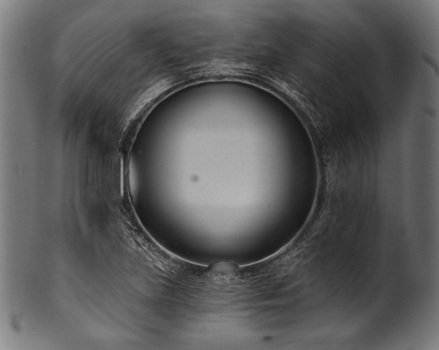 X0000100961219200806241519