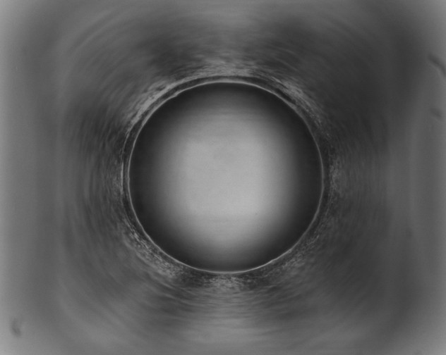 X0000100961220200806241519