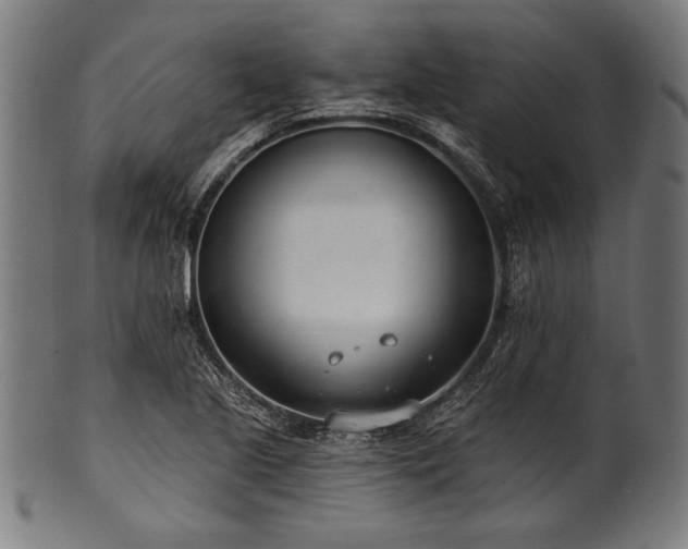 X0000100961221200806241519
