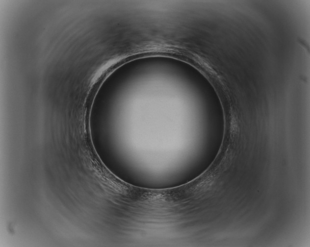 X0000100961222200806241519