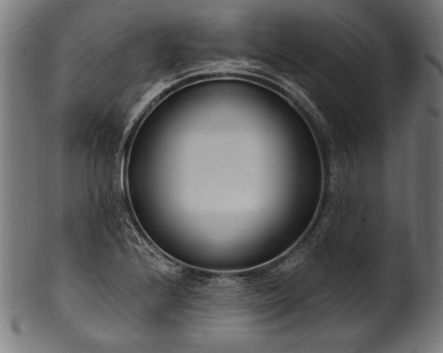 X0000100961224200806241519