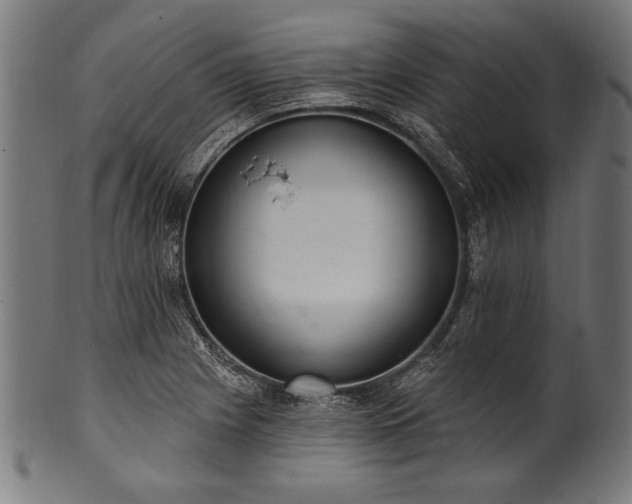 X0000100961225200806241519