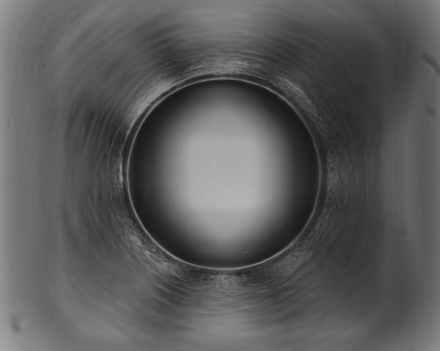 X0000100961226200806241519