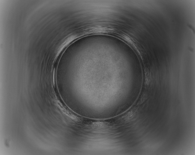 X0000100961227200806241519