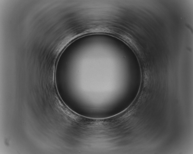 X0000100961228200806241519