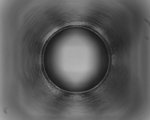 X0000100961229200806241519