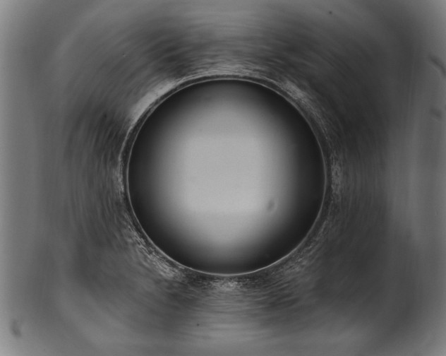X0000100961230200806241519
