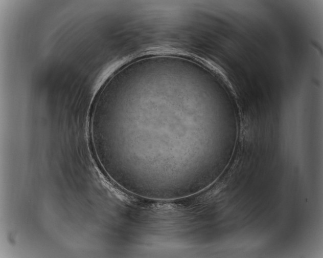 X0000100961231200806241519