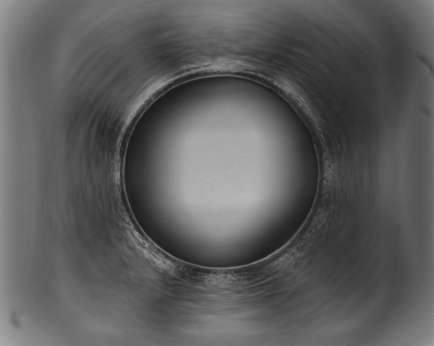 X0000100961232200806241519