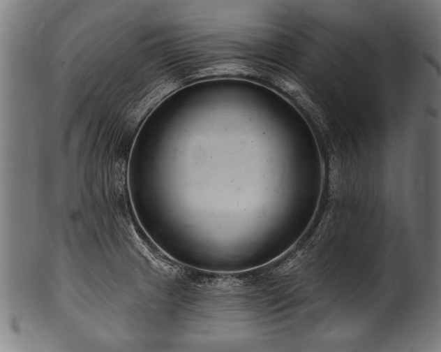 X0000100961233200806241519