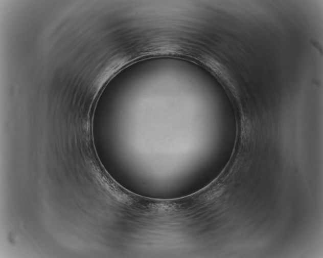 X0000100961234200806241519