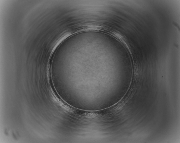 X0000100961235200806241519