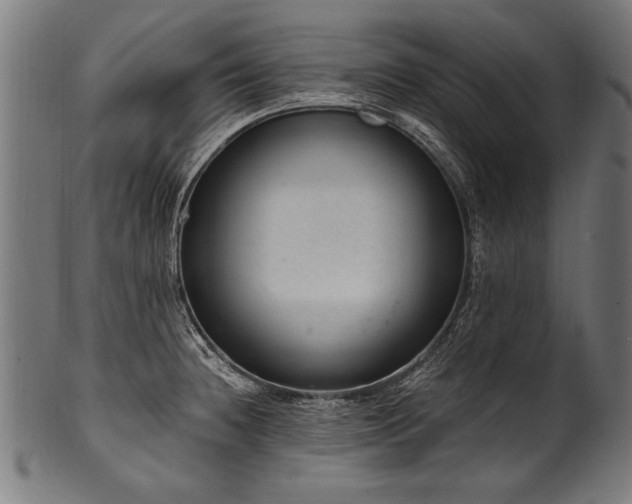 X0000100961236200806241520