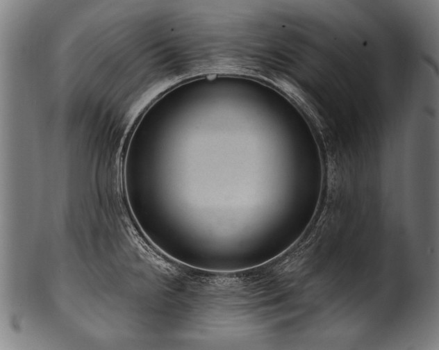 X0000100961238200806241520