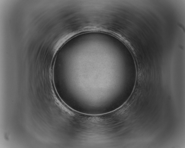 X0000100961239200806241520