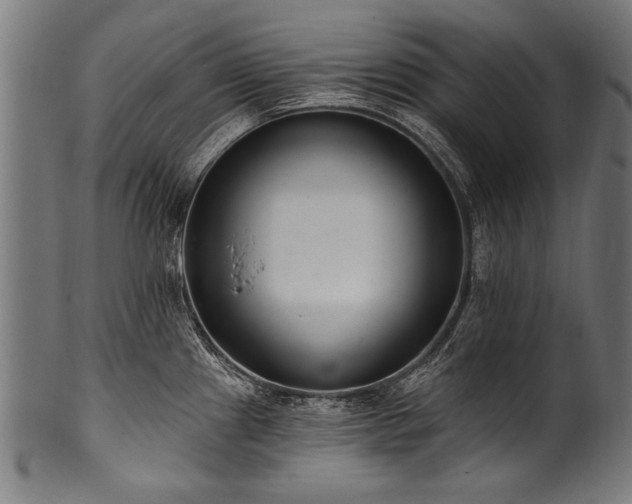 X0000100961241200806241520