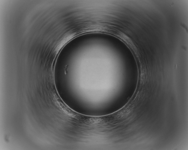 X0000100961242200806241520
