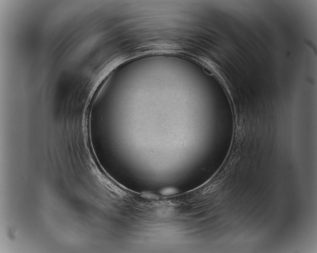 X0000100961243200806241520