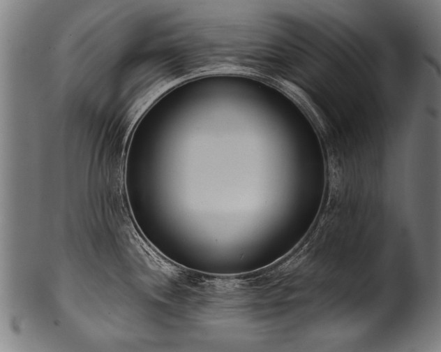 X0000100961244200806241520