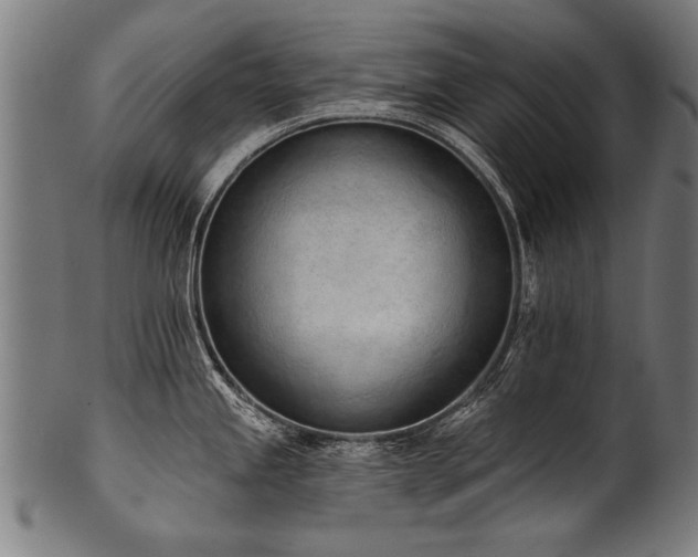 X0000100961245200806241520