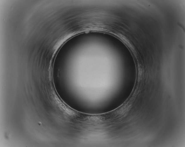 X0000100961246200806241520
