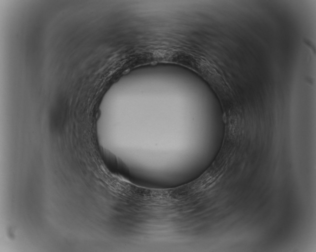 X0000100961249200806241519