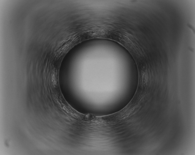 X0000100961250200806241519