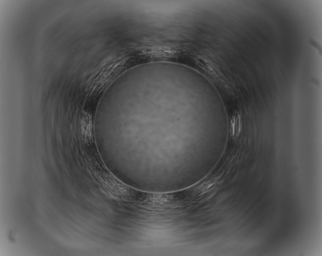 X0000100961251200806241519