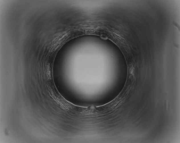 X0000100961252200806241519