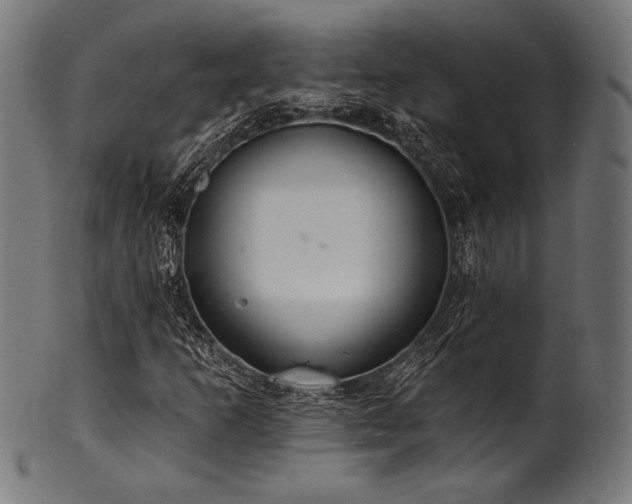 X0000100961253200806241519