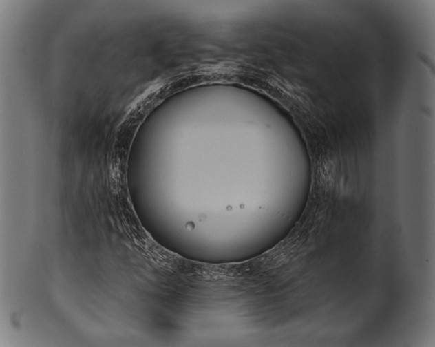 X0000100961254200806241519