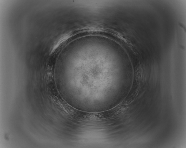 X0000100961255200806241519