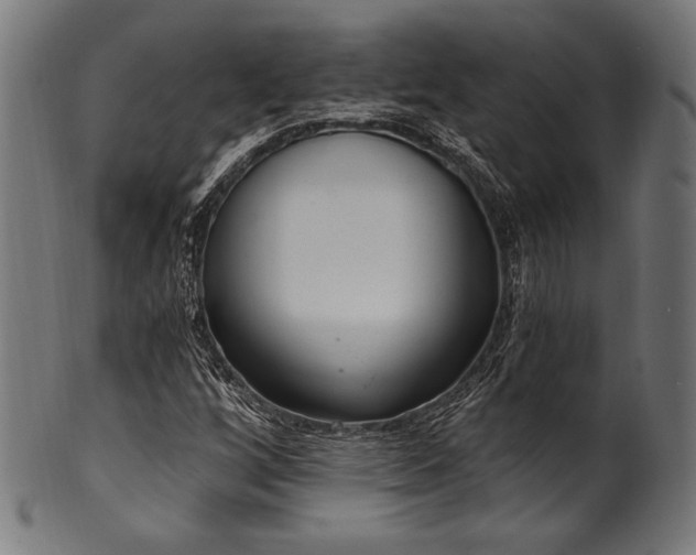 X0000100961256200806241519