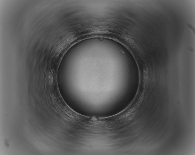 X0000100961257200806241519