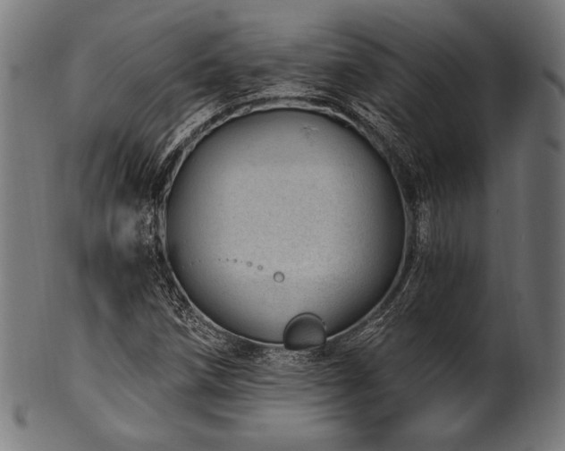 X0000100961258200806241519