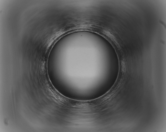 X0000100961260200806241519