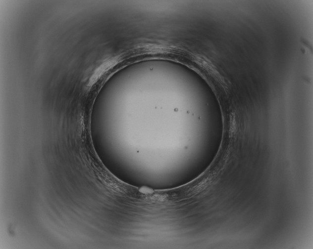 X0000100961261200806241519