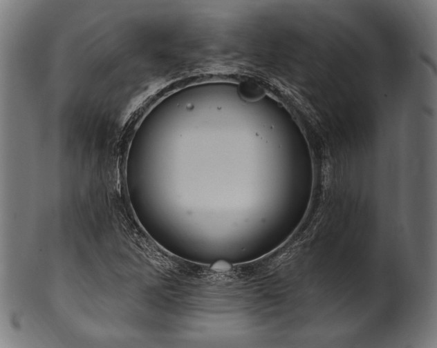 X0000100961262200806241519