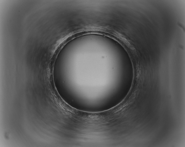 X0000100961264200806241519