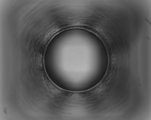 X0000100961265200806241519
