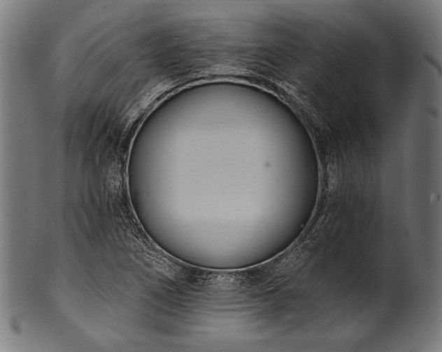 X0000100961266200806241519