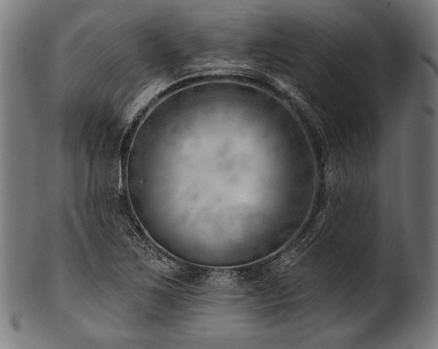 X0000100961267200806241519