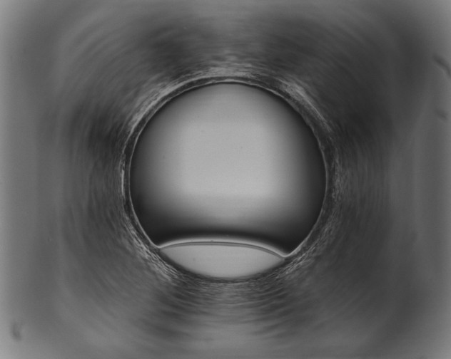 X0000100961268200806241519