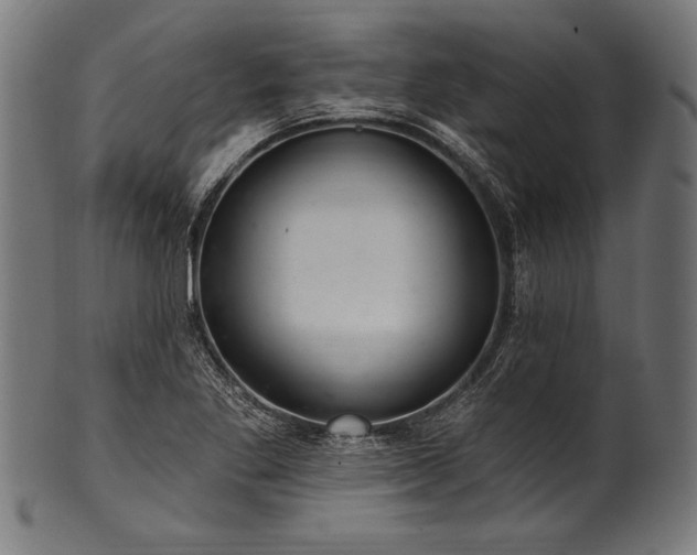 X0000100961269200806241519